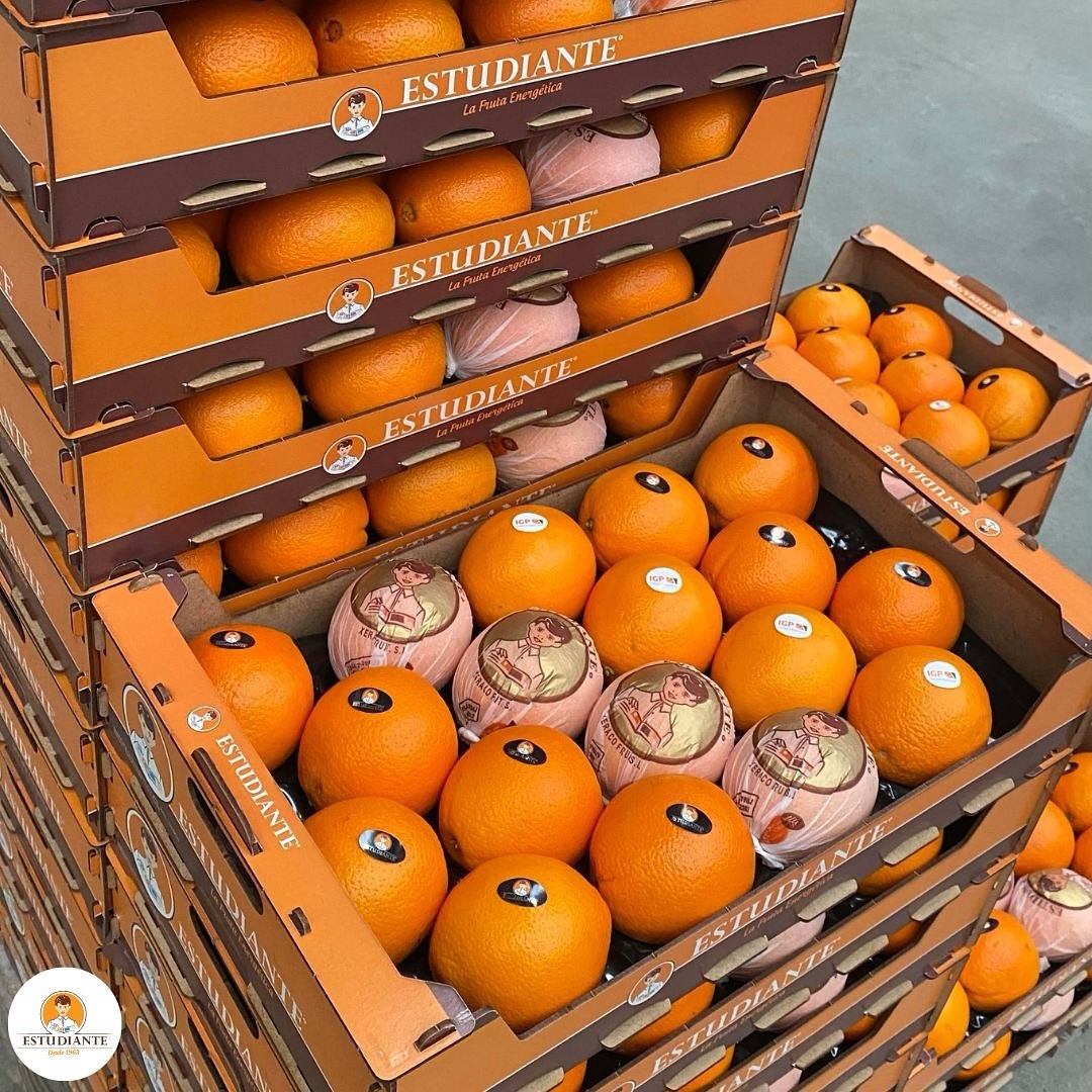 Naranjas y Mandarinas Estudiante sello IGP calidad y origen Valencia