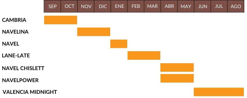 calendario naranjas xeraco fruit